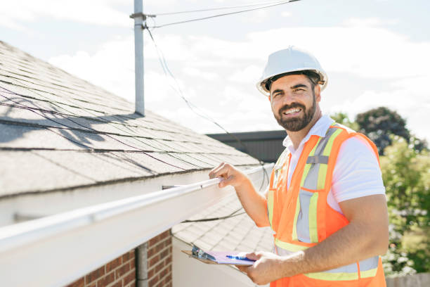 Best Flat Roof Repair Services  in Bement, IL