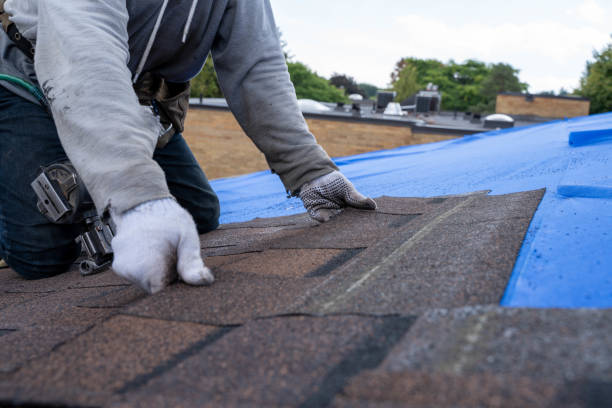 Professional Roofing Contractor in Bement, IL