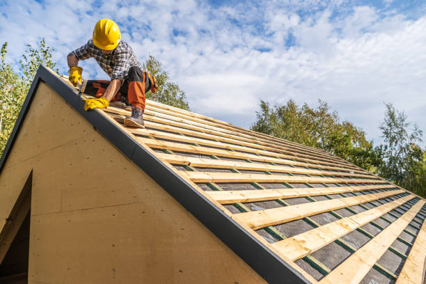 Roof Gutter Cleaning in Bement, IL