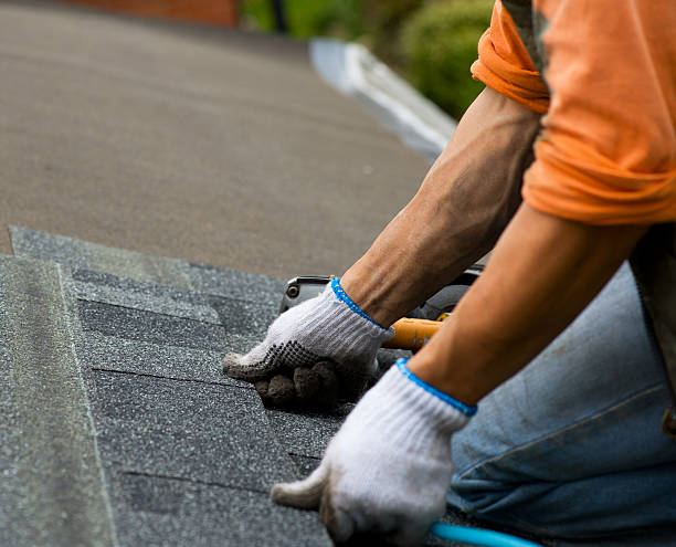 Gutter Installation and Roofing in Bement, IL