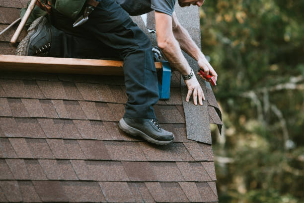 Best Metal Roofing Contractor  in Bement, IL